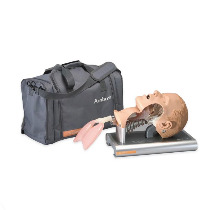 Ambu® Airway Management Trainer Erwachsene